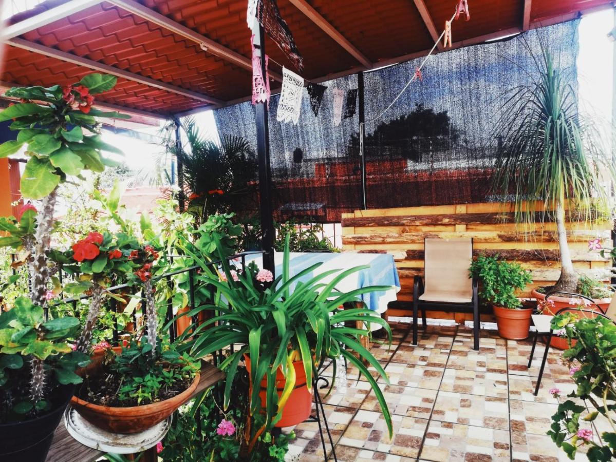 El Rincon De Dona Bety Hotel Oaxaca Kültér fotó